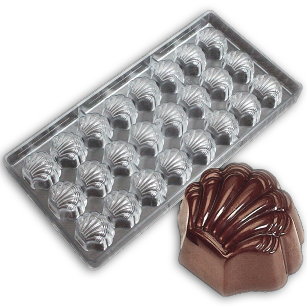 Acrylic Chocolate Mold SeaShell